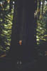 Brice_Zion_Sequoia14_Jun59
