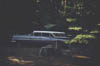 Brice_Zion_Sequoia15_Jun59