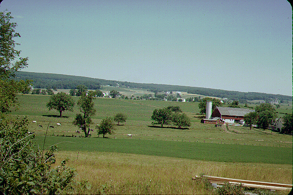 Farm