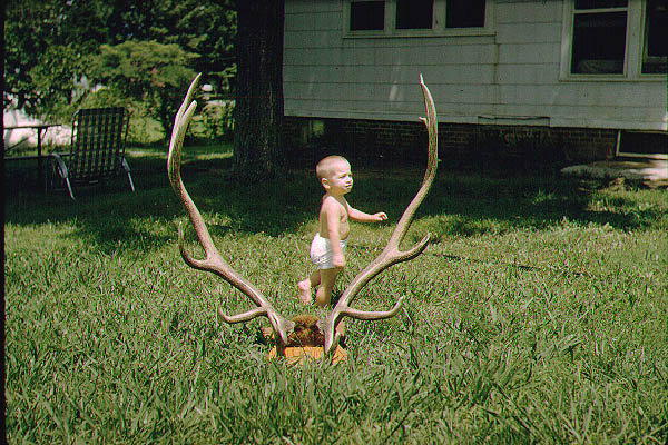 BabyChuck_with_antlers