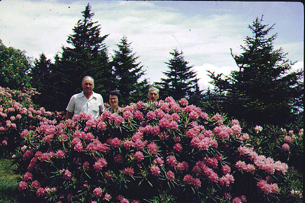 DaleSr_Granny_GreatGrandfather_Routh