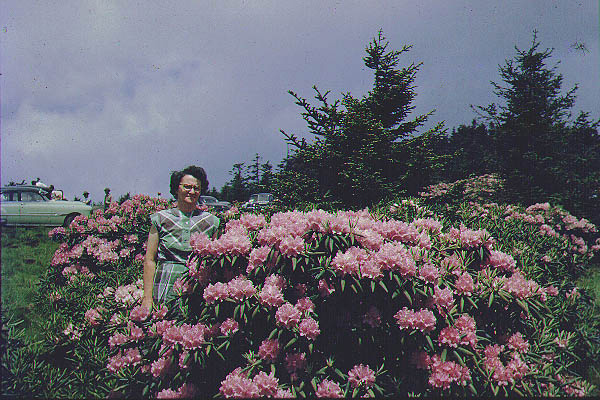 Granny_GrandfatherMountain