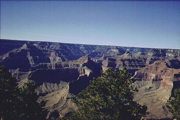 Canyon_1973