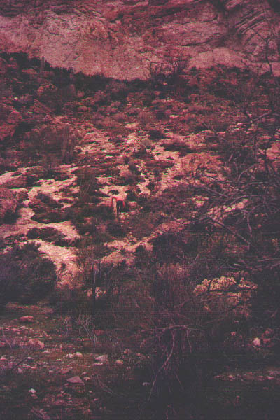 Hills_1973