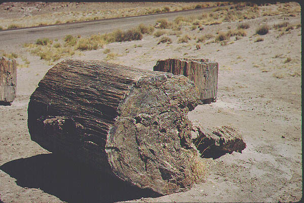 New Mexico Arizona11-Jun59