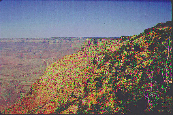 New Mexico Arizona19-Jun59