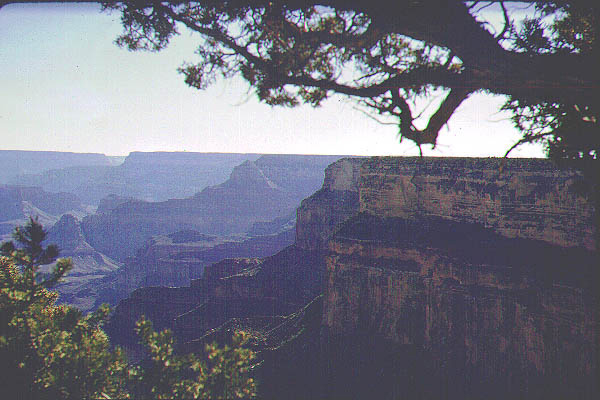 New Mexico Arizona23-Jun59