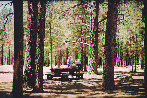 New Mexico Arizona27-Jun59