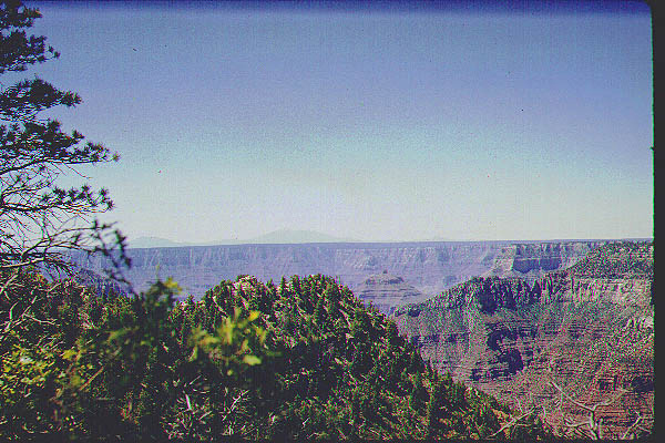 New Mexico Arizona28-Jun59