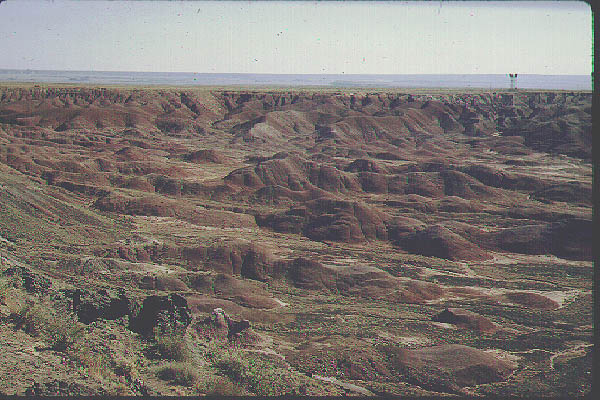 New Mexico Arizona5-Jun59