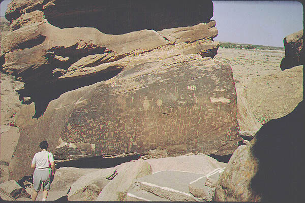 New Mexico Arizona6-Jun59