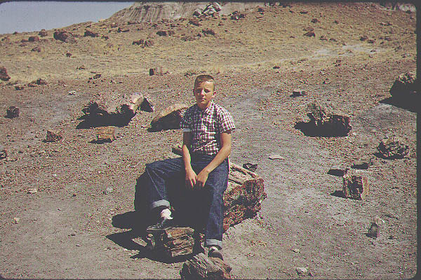 New Mexico Arizona8-Jun59