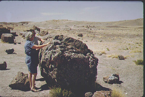 New Mexico Arizona9-Jun59