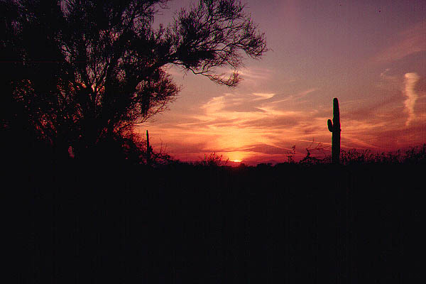 Sunset3_1973